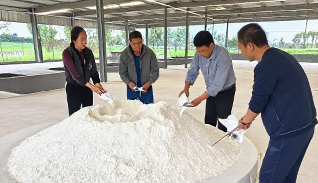 作物营养不足影响农产品销售，科学施肥是关键