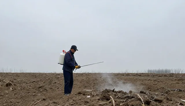 种植作物害虫防治，如何提升防治效果